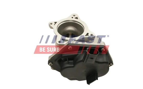Compre FT60241 Fast Válvula EGR de recirculação dos gases