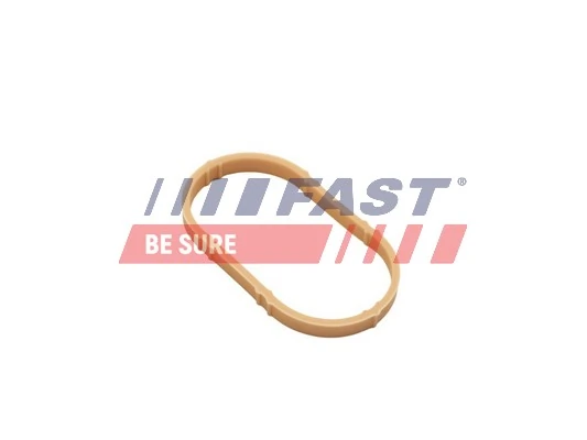 Vedante de tubo coletor de admissão Renault Clio II BB, CB