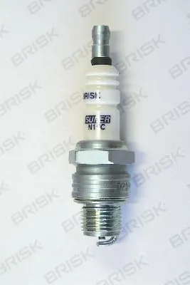 1319 Brisk