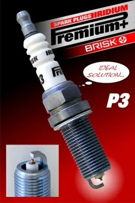 1621 Brisk