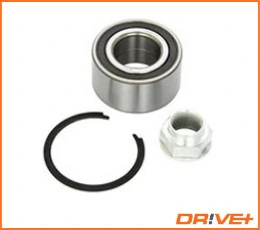 DP2010100245 Dr!ve+