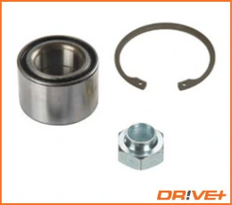 DP2010100171 Dr!ve+
