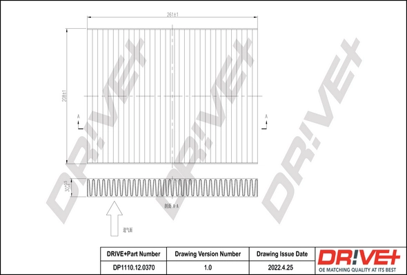 DP1110120370 Dr!ve+