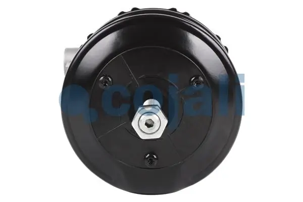 Câmara do freio (Acumulador de energia) Knorr-bremse K007647 preço, a partir de 299,87 USD