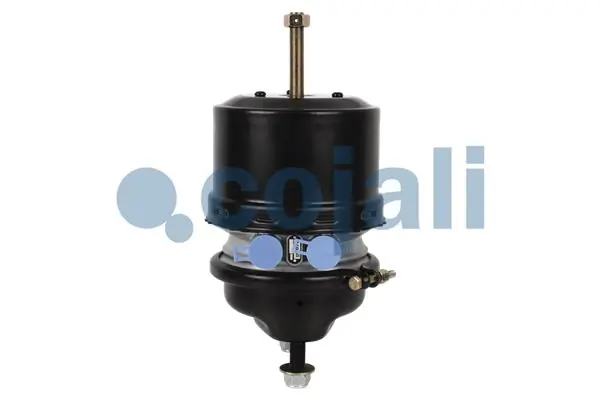 Compre A0194205518 Mercedes Câmara do freio (Acumulador de energia)