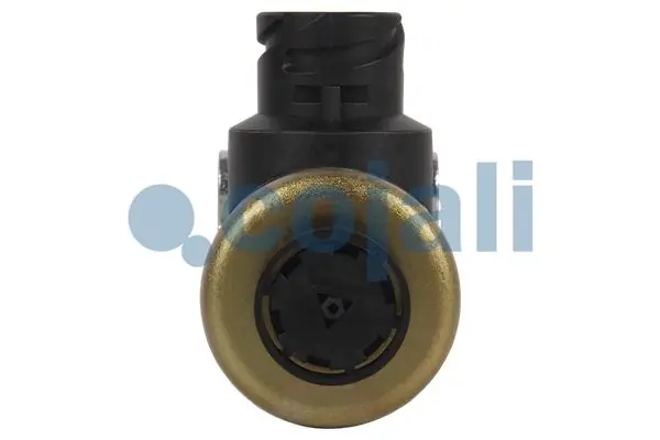 81521606115 Neoplan Solenoide (válvula eletromagnética) da caixa de transferência