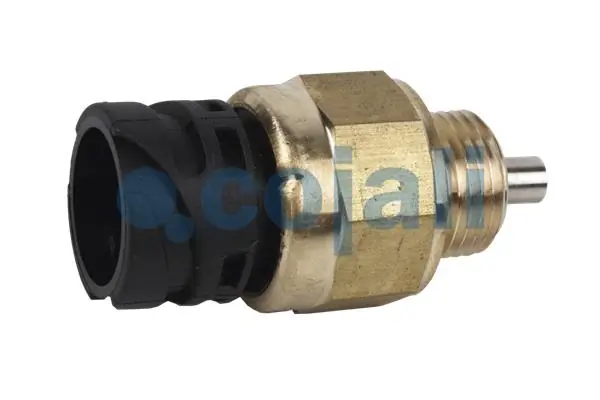 81255250257 MAN Sensor de ativação das luzes de marcha à ré