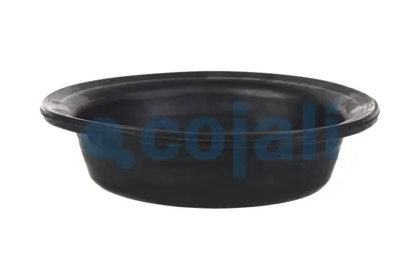 0222030900 BPW Membrana da câmara de freio