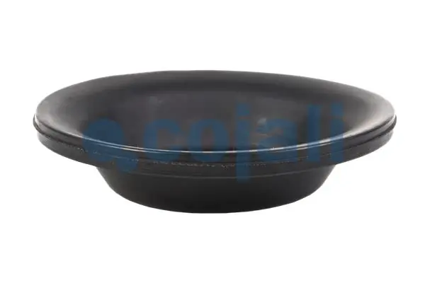 Compre 0222030100 BPW Membrana da câmara de freio