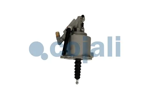 2550206 Cojali