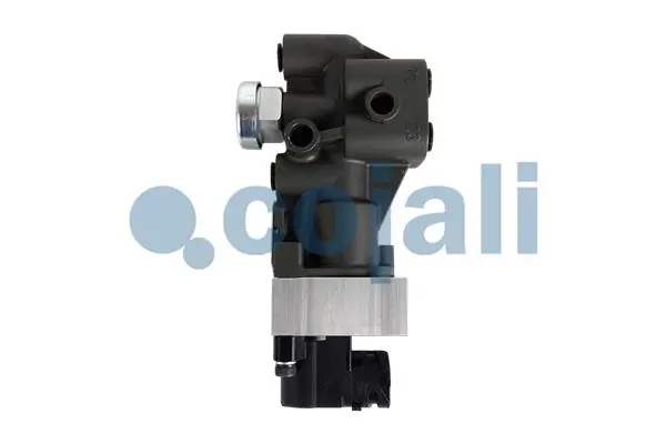 2315105 Cojali