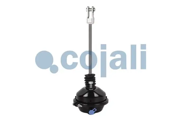 2251102 Cojali