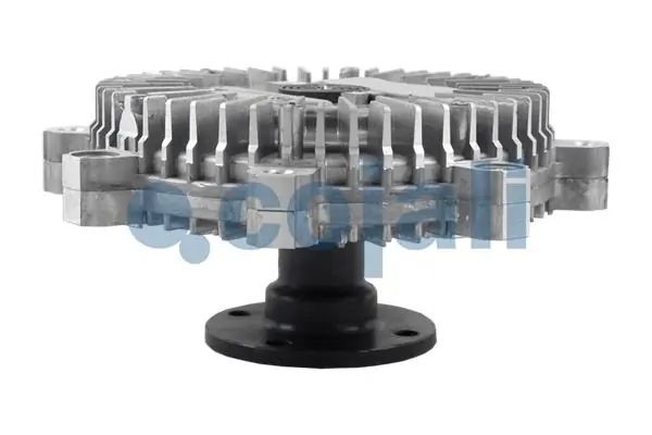 Compre LK131 Beru Acoplamento viscoso de ventilador de esfriamento