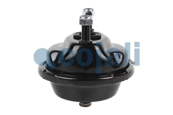 Câmara do freio (Acumulador de energia) K002844N00 Knorr-bremse