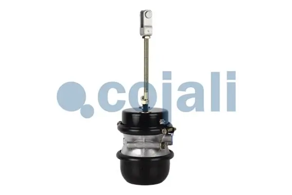Câmara do freio (Acumulador de energia) Knorr-bremse K031736N00 preço, a partir de 131,06 USD