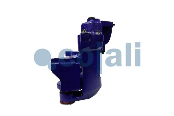 Suporte traseiro de freio 359304 Cojali