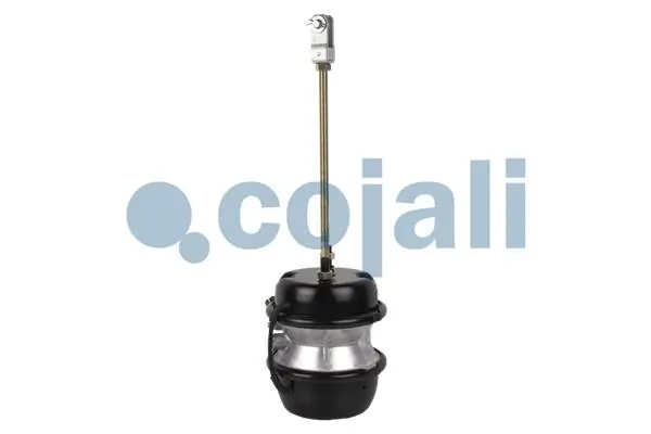 Câmara do freio (Acumulador de energia) Scania 1738483 preço, a partir de 107,24 USD