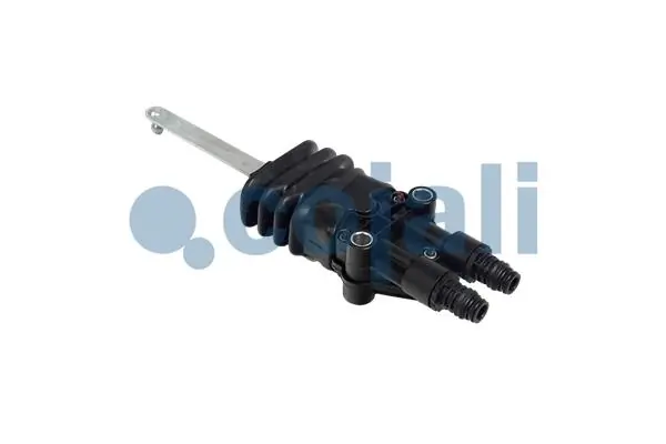 2214526 Cojali