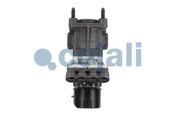 354419 Cojali