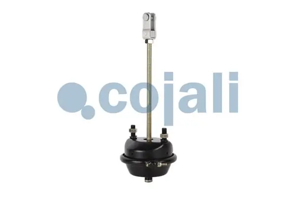 Câmara do freio (Acumulador de energia) Alon VL0301069 preço, a partir de 31,80 USD