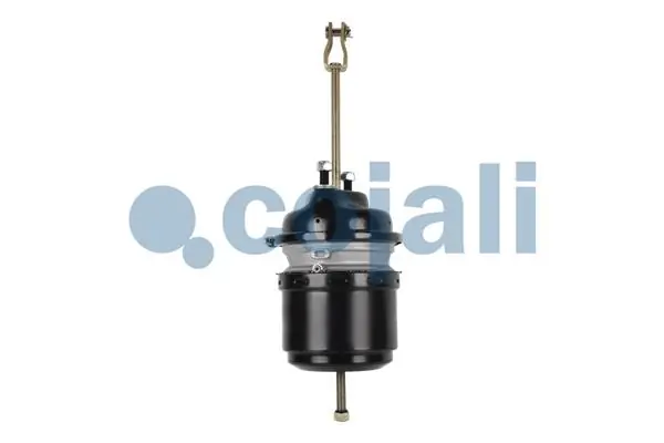 Compre 0544421011 BPW Câmara do freio (Acumulador de energia)