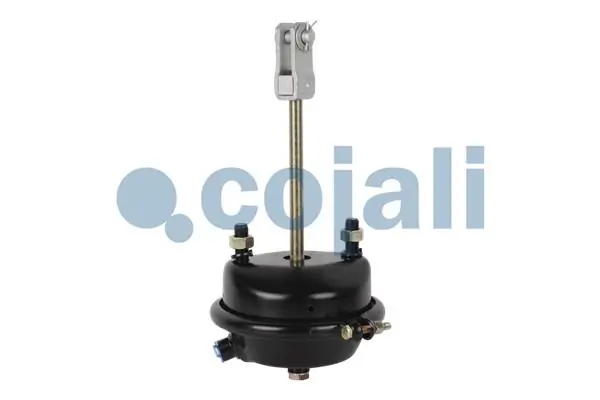 Câmara do freio (Acumulador de energia) Mercedes 0004209124 preço, a partir de 33,57 USD