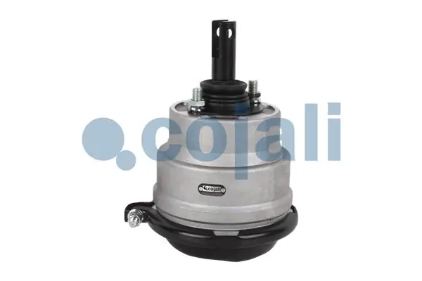 Câmara do freio (Acumulador de energia) Knorr-bremse K028254N00 preço, a partir de 196,32 USD