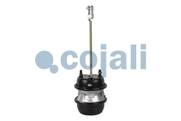 Compre 1738483 Scania Câmara do freio (Acumulador de energia)