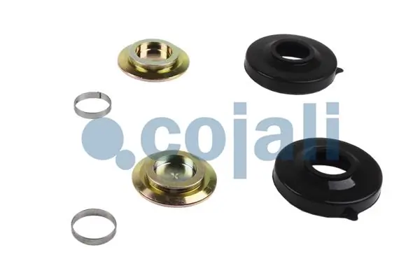 Kit de reparação de suporte do freio traseiro Renault (RVI) 5001866398