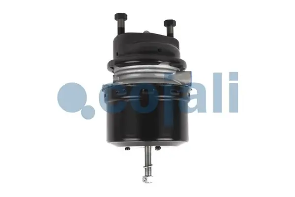 2251516 Cojali Câmara do freio (Acumulador de energia)