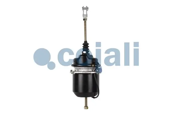 Compre 1372913 Scania Câmara do freio (Acumulador de energia)