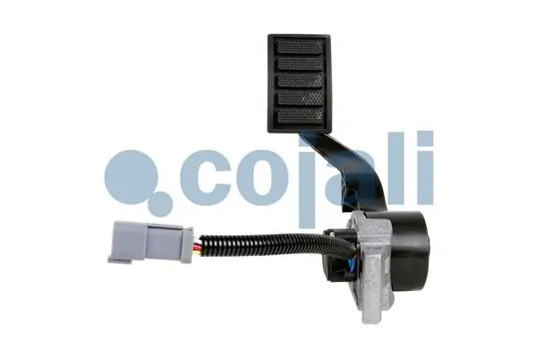 Compre Pedal de gás (de acelerador) Volvo Trucks TRUCK FH12 