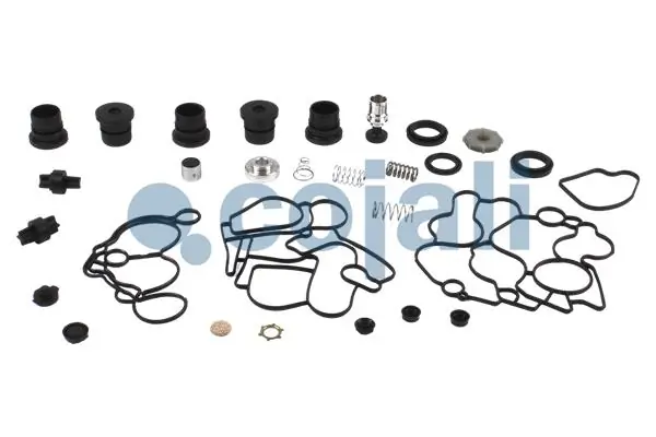7421586159 Renault (RVI) Secador de ar do sistema pneumático