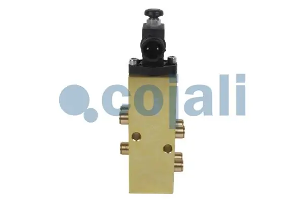 2415102 Cojali