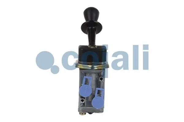 2224314 Cojali