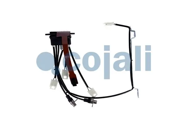 2261204 Cojali