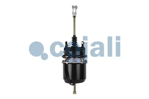 Câmara do freio (Acumulador de energia) Scania 1372913 preço, a partir de 153,21 USD