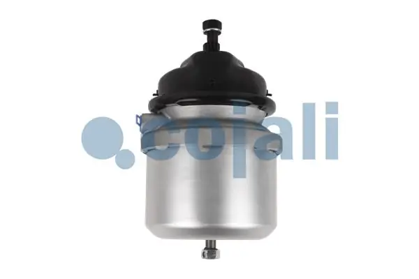 Compre 2351304 Cojali Câmara do freio (Acumulador de energia)