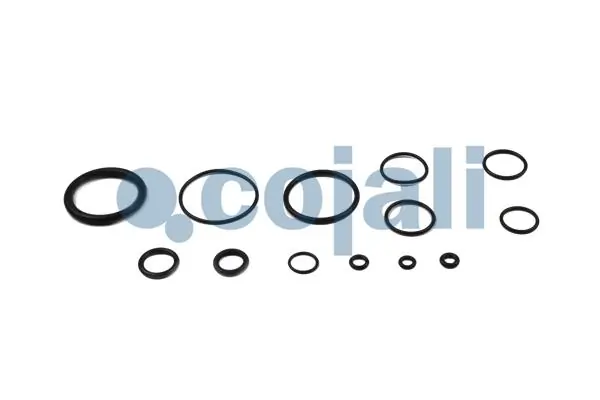 Compre II362480051 Knorr-bremse Kit de reparação de separador de umidade (TRUCK)