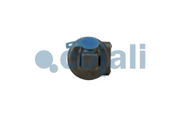 Vedante de cabeça de motor (CBC) Renault (RVI) 5010450423