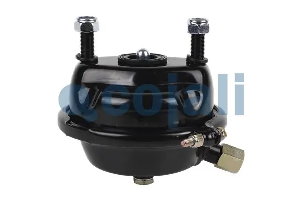 Câmara do freio (Acumulador de energia) Knorr-bremse K002844N00