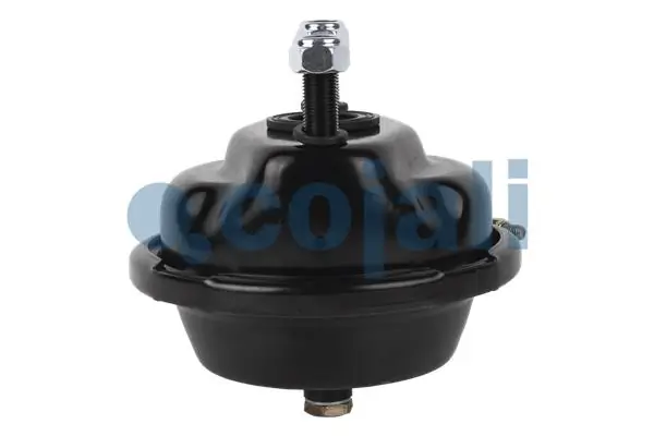 Câmara do freio (Acumulador de energia) K002843N00 Knorr-bremse