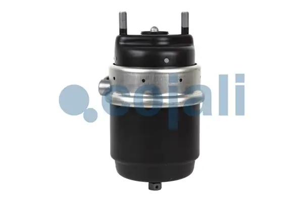 Câmara do freio (Acumulador de energia) Iveco 99482723 preço, a partir de 368,58 USD