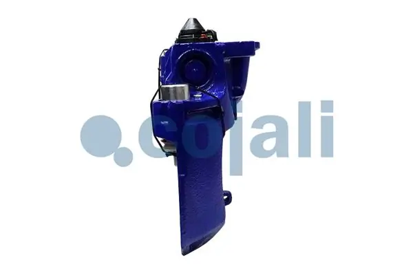 Compre 03080006001 SAF Suporte do freio traseiro direito
