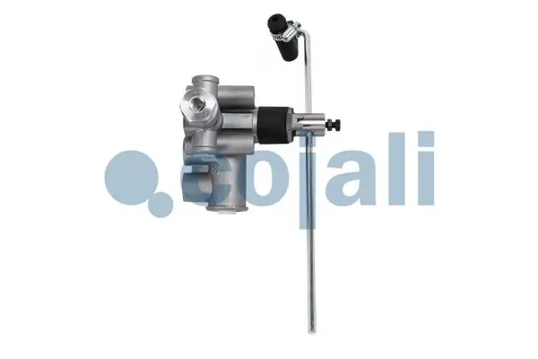  Cojali 2314397