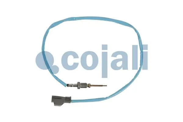 2262026 Cojali