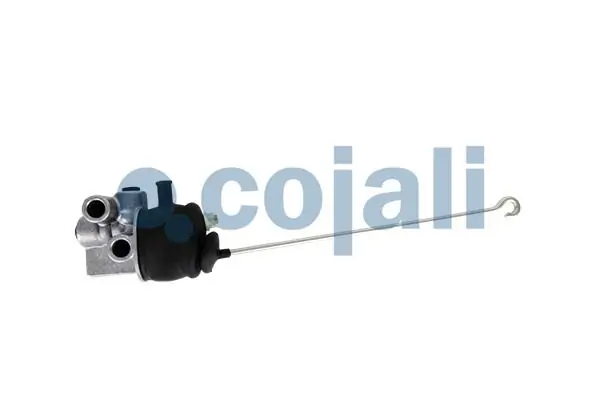 2314100 Cojali
