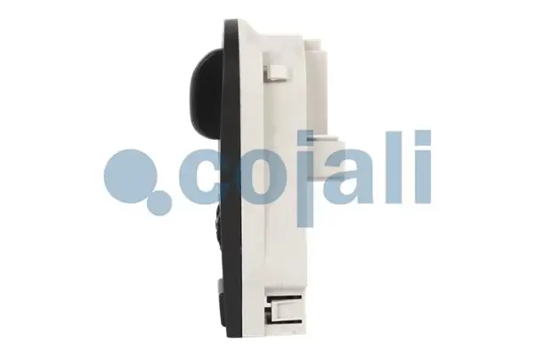 Compre 2260485 Cojali Pára-choque traseiro