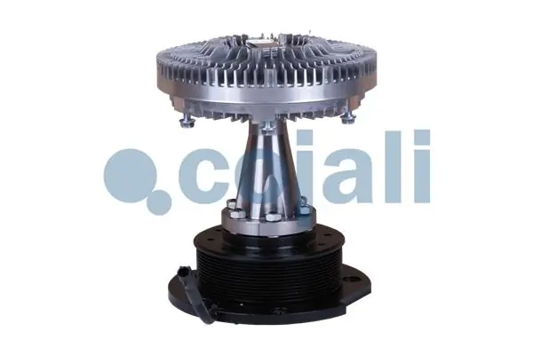 Comprar  Stralis  