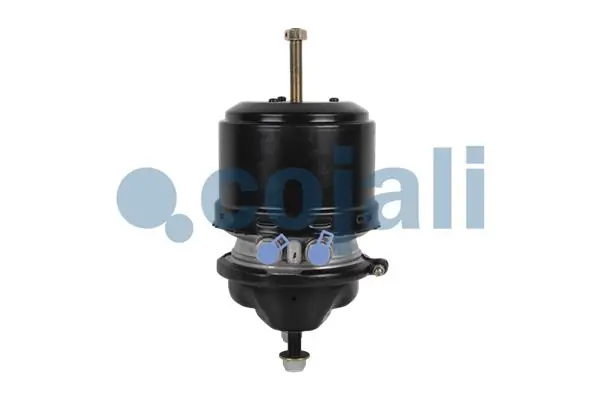 2251536 Cojali
